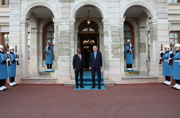 Cumhurbaşkanı Erdoğan: 'İsrail'in Somaliland kararı gayrimeşrudur'